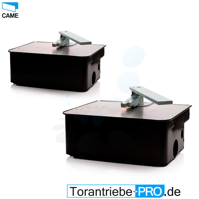 2 x CAME FROG A24E moteurs enterrés 24 V avec caissons